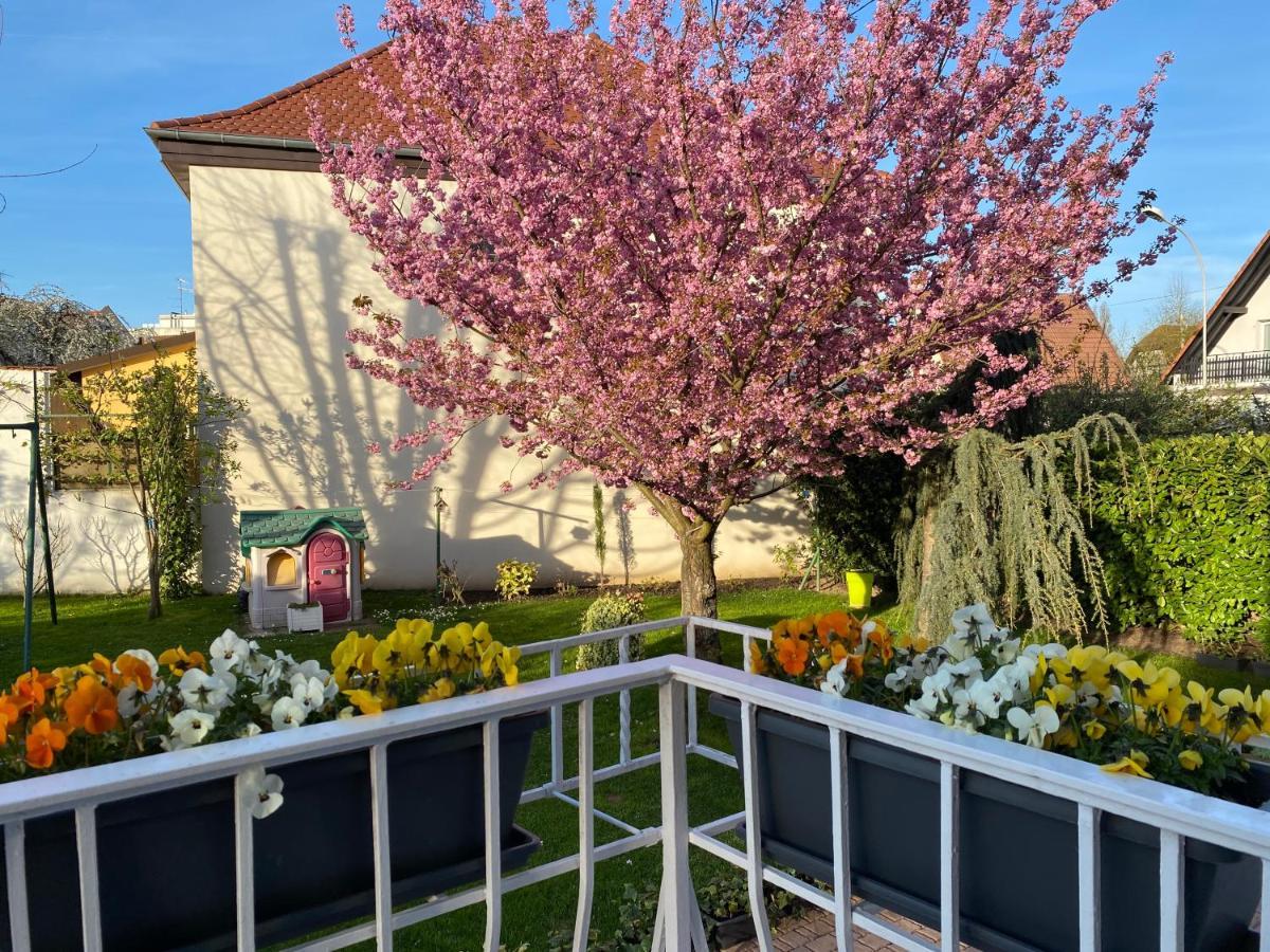 Appartement Le Jardin Lingolsheim Exterior photo