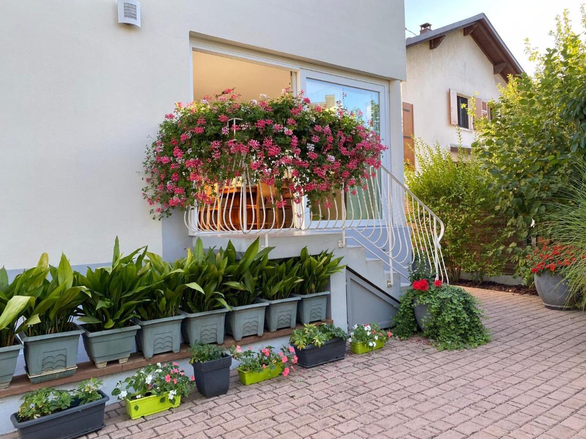 Appartement Le Jardin Lingolsheim Exterior photo