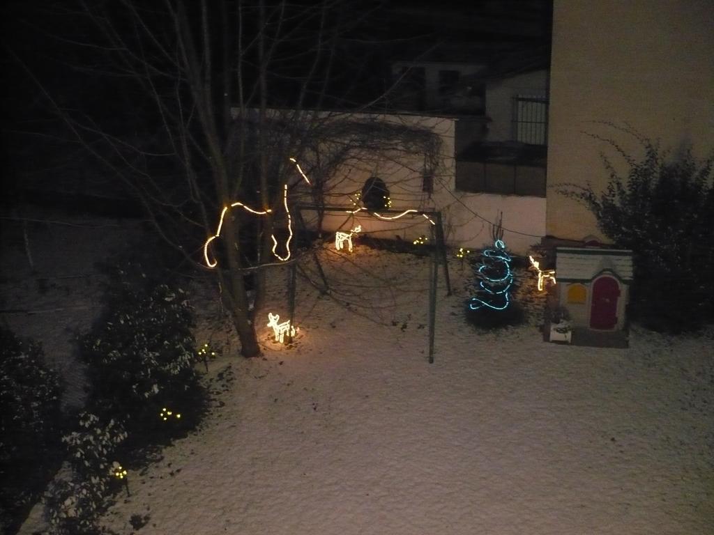 Appartement Le Jardin Lingolsheim Room photo