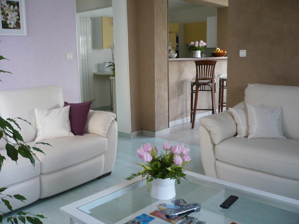 Appartement Le Jardin Lingolsheim Room photo
